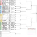 W 52kg