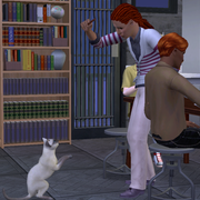g Reinforcing Bad Food Habits With Angel