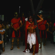 IMG 0374