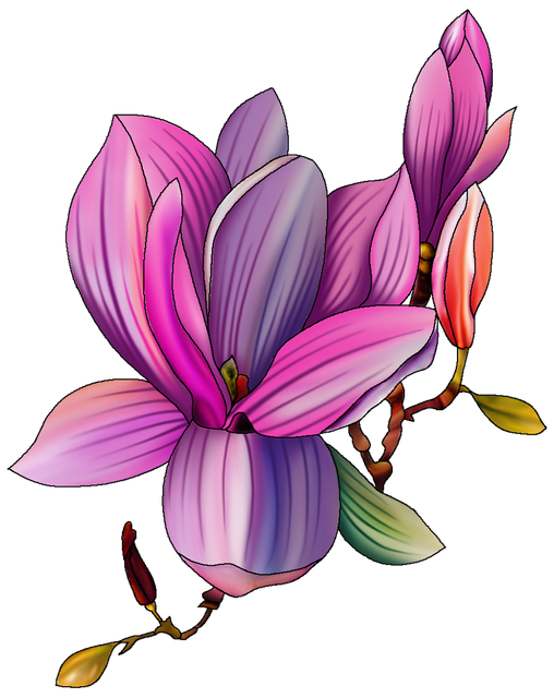 e8678df90fd484cc88deb39b5f368e1b.png