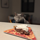 Pie