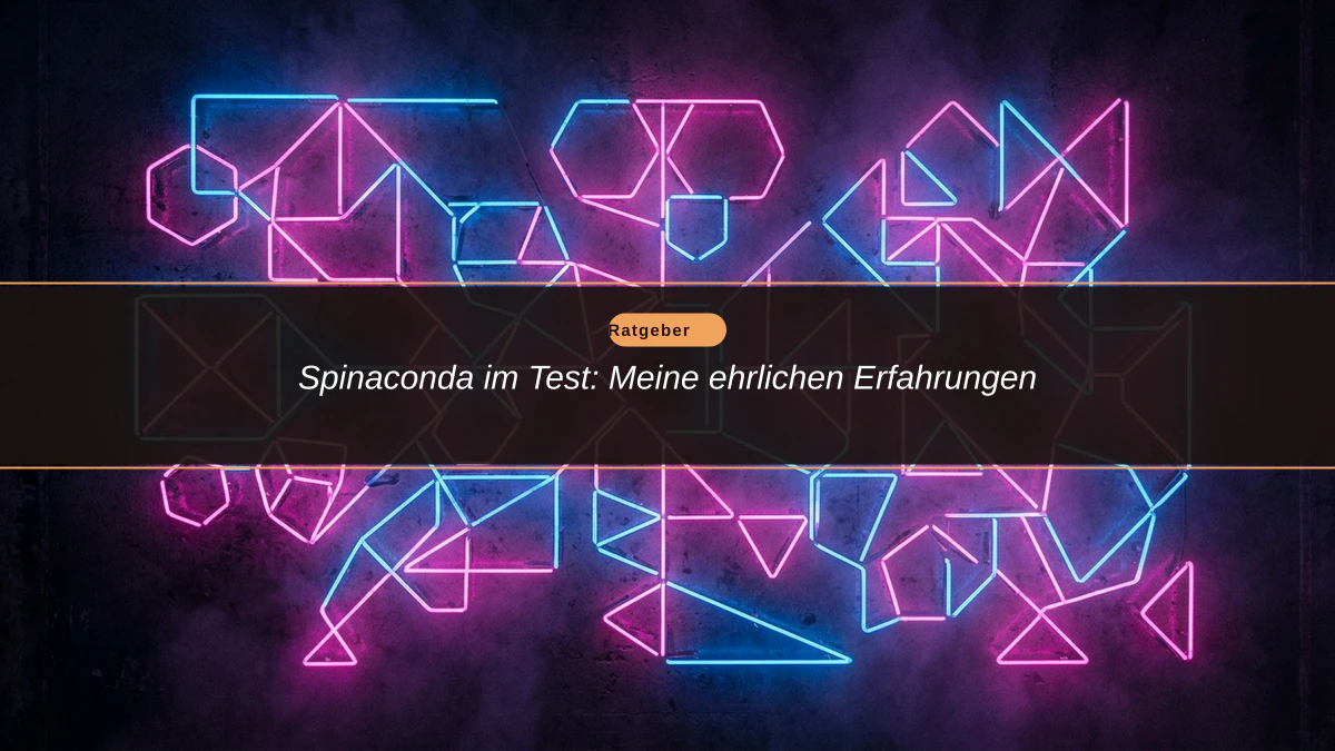 Spinaconda im Test: Meine ehrlichen Erfahrungen