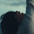 43.gif