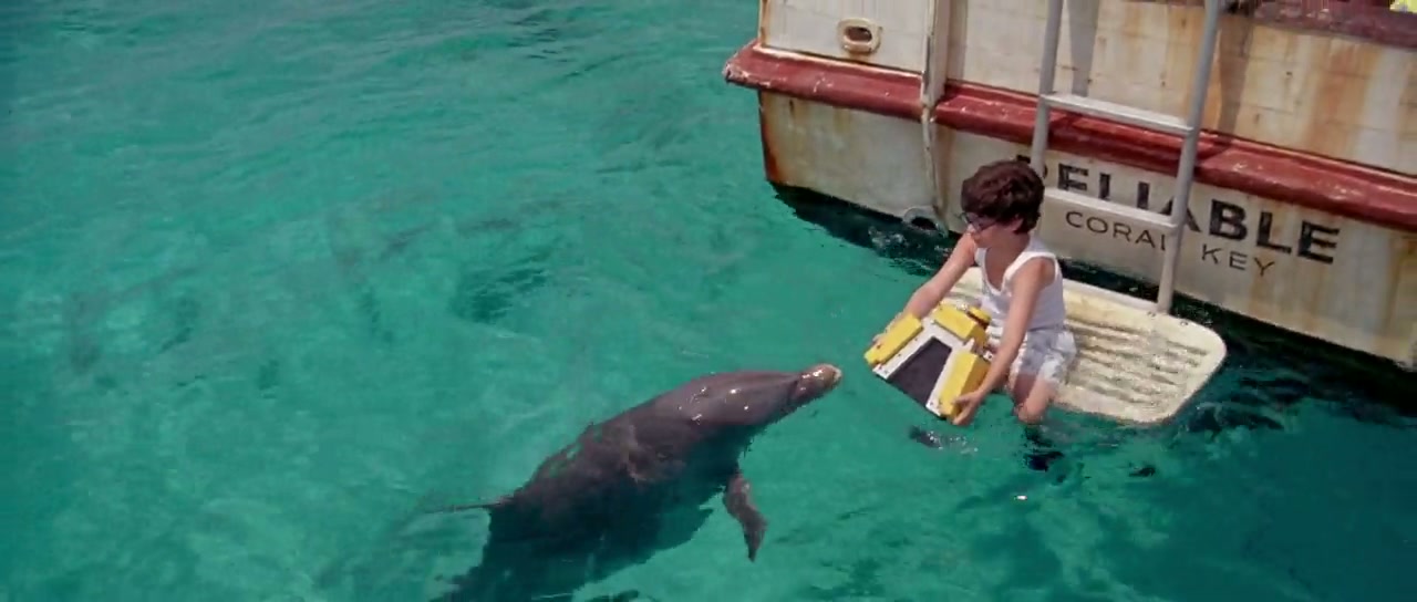 Flipper Screenshot