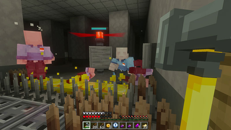 Image 5