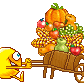 fall006