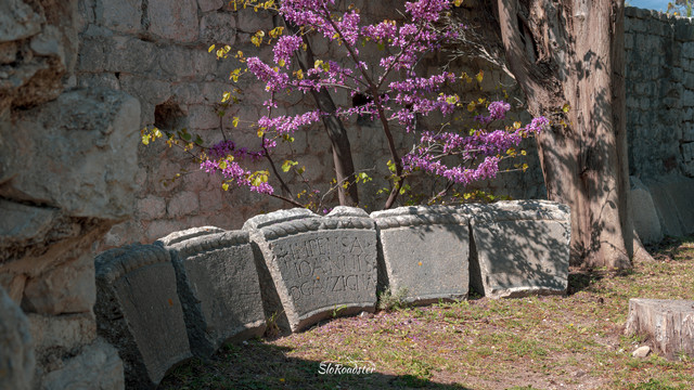 Rab 02114.jpg