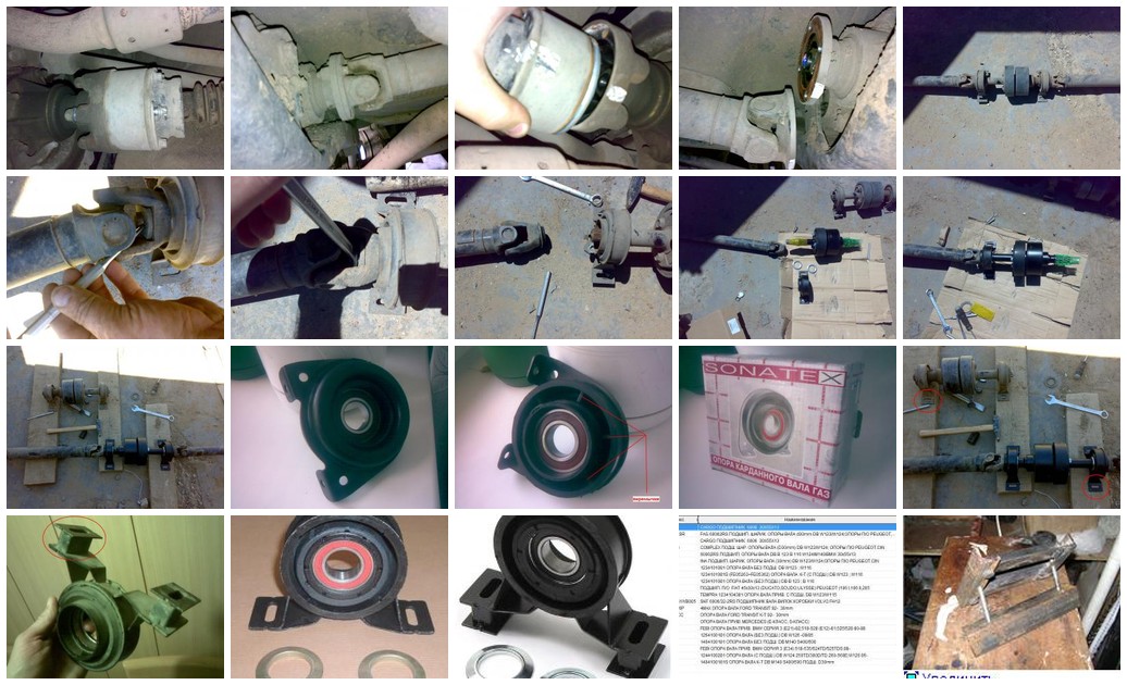 https://i.ibb.co/fVSLSwKf/824-collage.jpg