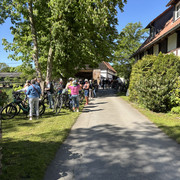 IMG 3312