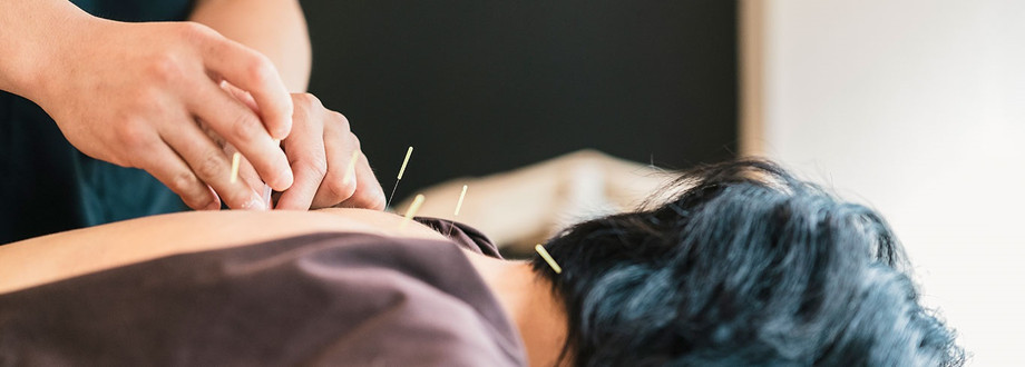 physical therapy in bronx ny