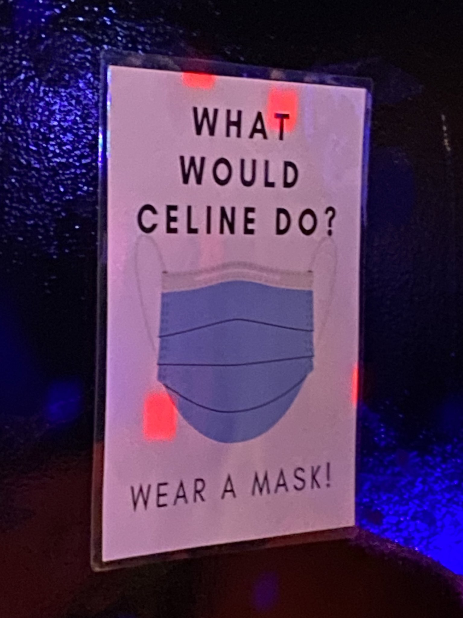 What-Would-Celine-Do.jpg
