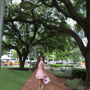 IMG 5154
