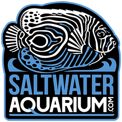 Saltwater Aquarium logo