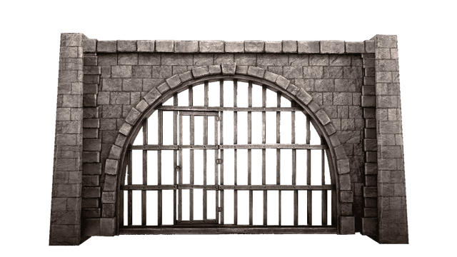 1 1 1 1 (1).png