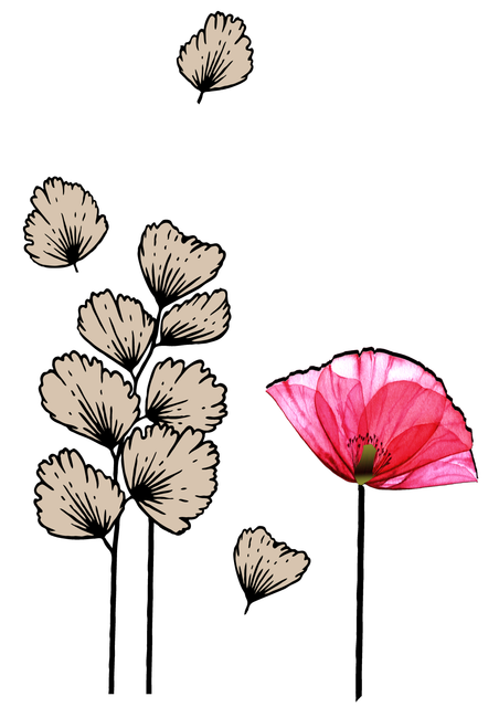 42e500a2bb866d9cbb8e9a1e2d692467.png