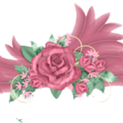 0-773f8-5ac2c81d-L