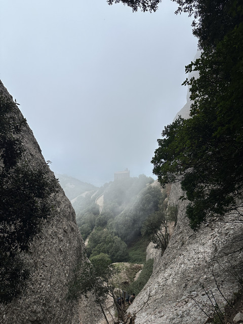 IMG-2948