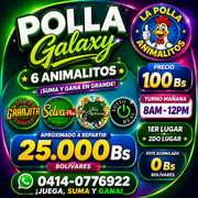 Polla Galaxy (2)