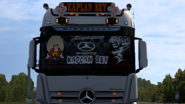 MERCEDES ACTROS HAYALET CAM
