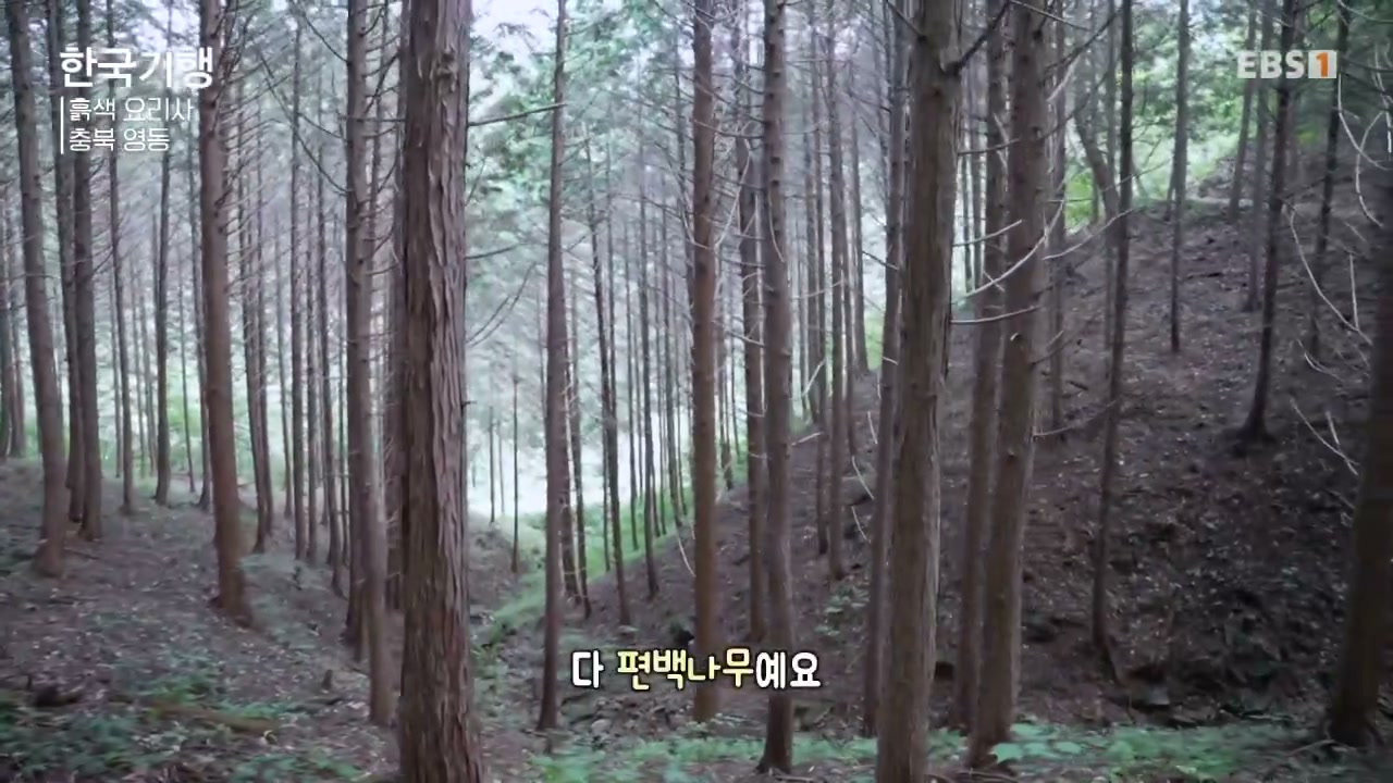 한국기행 충북 영동 흑색요리사 펜션 추가 캡처 2