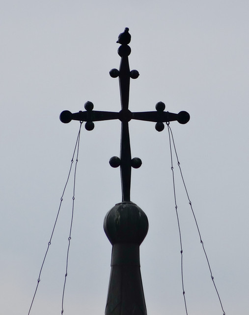 DSC06175-5