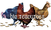 Chicken-Sig3.png