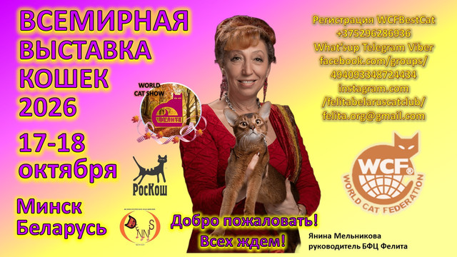 афиша 1