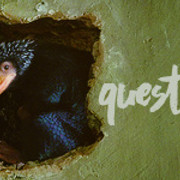 questions-15