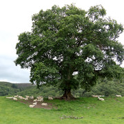 IMGP0200