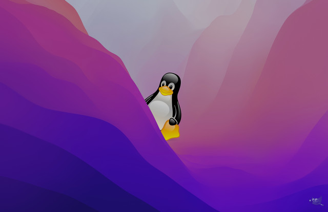 Monterey Tux Coloured Light