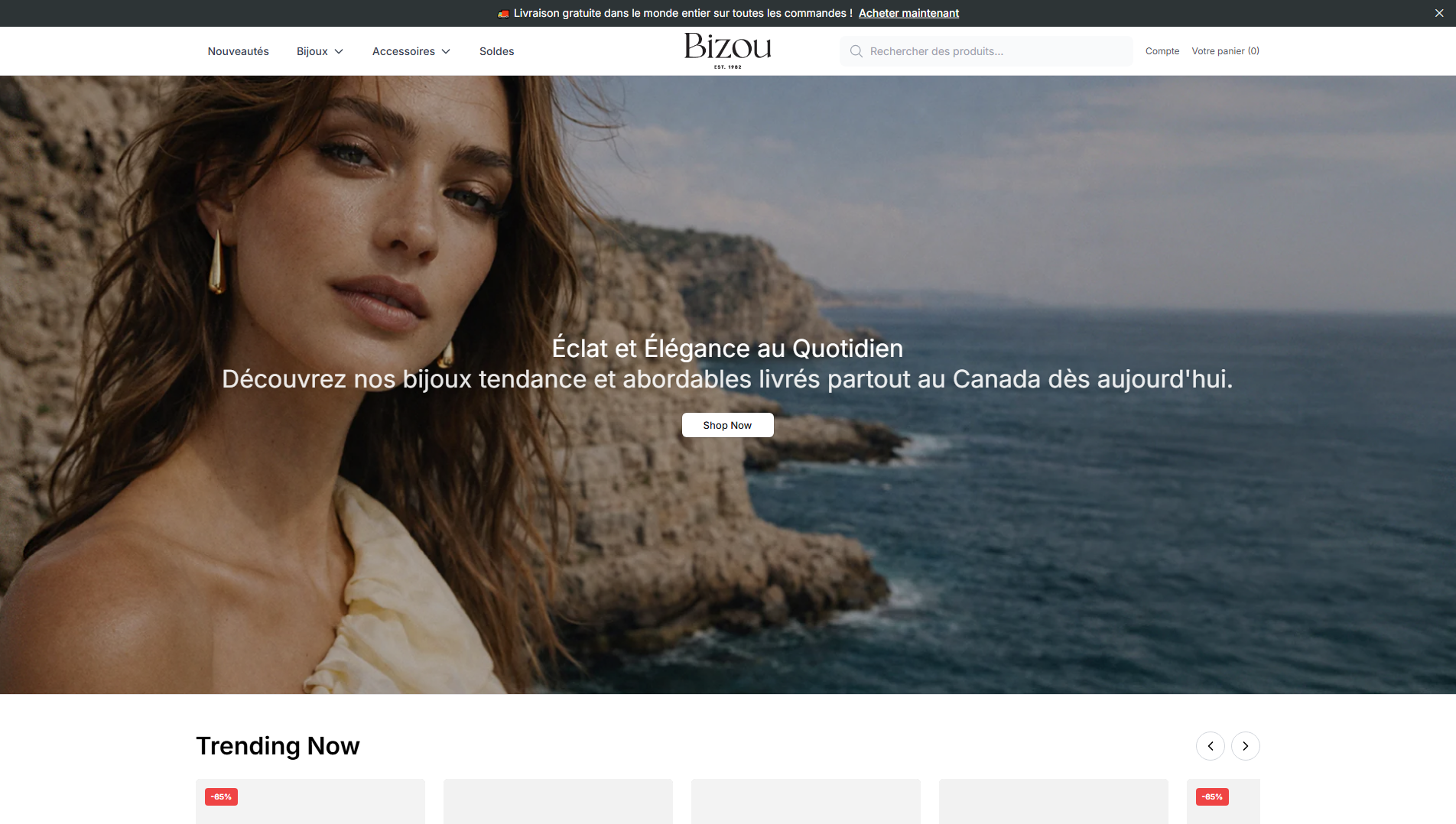 Primary capture · bizouhq.shop