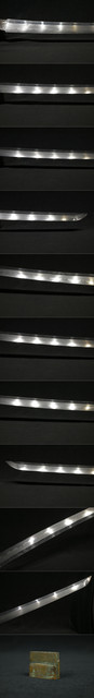DSC0497.jpg