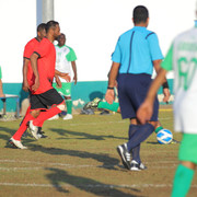 IMG 7536