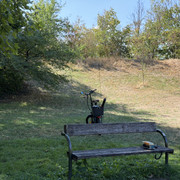 IMG 3193