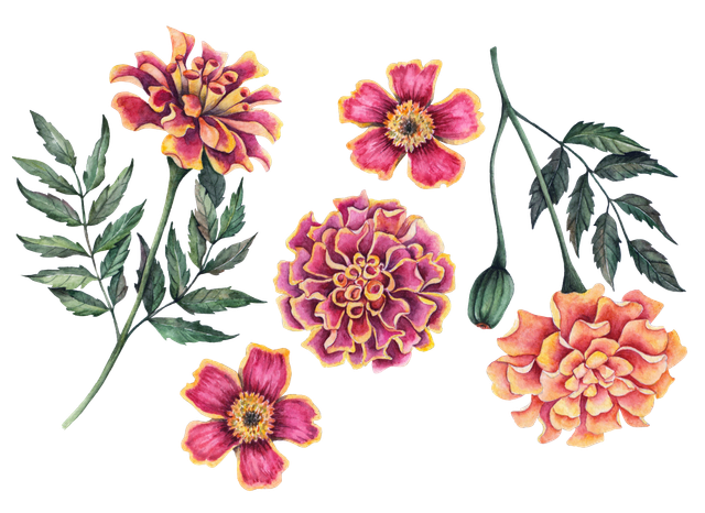 shutterstock 1194051310.png