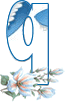 20101230-43.gif