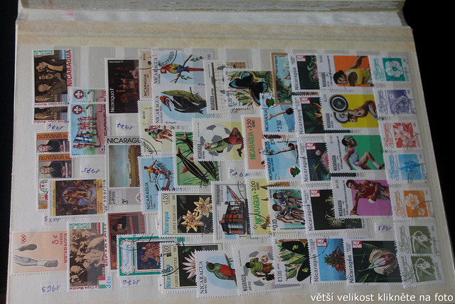 IMG-3725.jpg