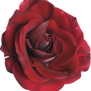 0-3aaa2-1eb625b0-L