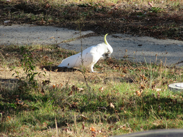 IMG 3045.jpg