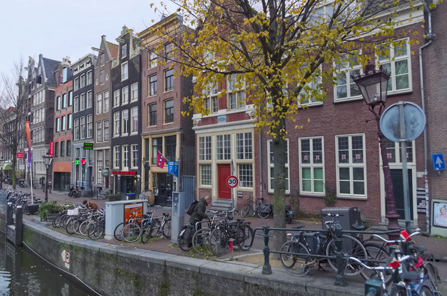 IMGP9421.jpg