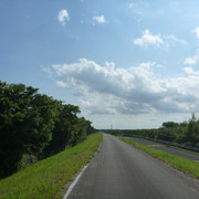 2021-05-31-291