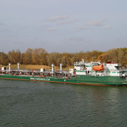 DSC08209