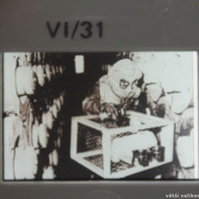 IMG-1119