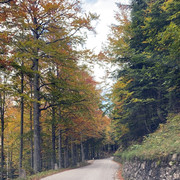 IMG-3291