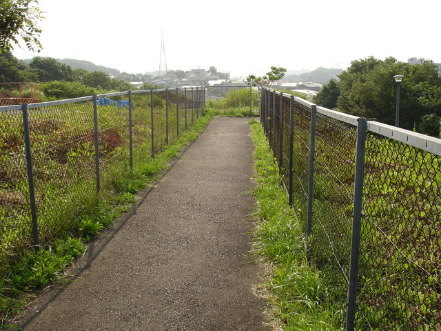 2010-06-12-167