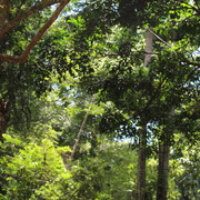 IMG-6467