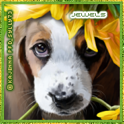 Jewels-Kajenna-Sunny-Av