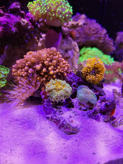 20220226-181031