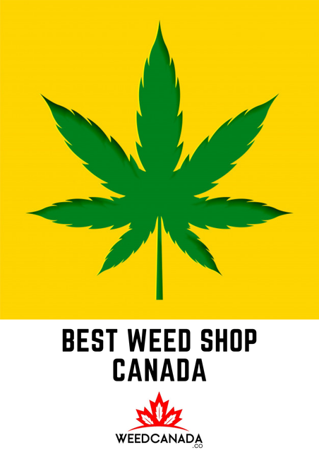 Best-Weed-Shop-Canada-3
