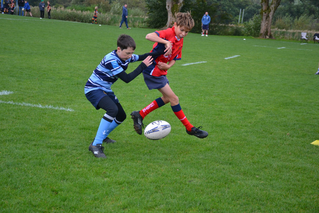 DSC-1041.jpg